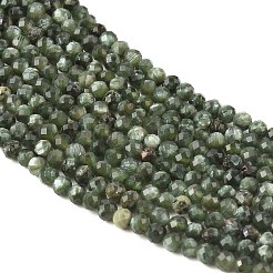Natural Seraphinite Beads Strands&nbsp;G-K376-A02-3mm
