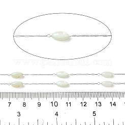304ステンレススチールアズキチェーン、染色シェルビーズ付き  ライス  ハンダ付け  スプールで  ベージュ  2.5x0.8x0.1mm&nbsp;STAS-B067-03P-02