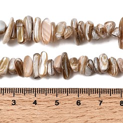 天然淡水シェルビーズ連売り  ナゲット  キャメル  2.5~5x9.5~15.5x4.5~6mm  穴：0.7mm  約97~100個/連  14.17~14.76''（36~37.5センチメートル）&nbsp;X-SHEL-A006-05