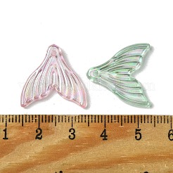 Transparent Acrylic Pendants&nbsp;OACR-O006-04