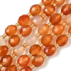 Natural Carnelian Beads Strands&nbsp;G-F809-A51-01