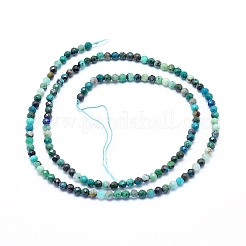 Natural Chrysocolla Beads Strands&nbsp;X-G-G823-13-3mm