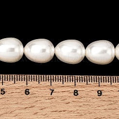 Electroplated Shell Pearl Beads Strands&nbsp;BSHE-B008-04