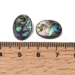 天然パウア貝の幾何学的なチャーム  カラフル  オーバル  14.5x10.5x3.5mm  穴：1.5mm&nbsp;SHEL-A006-12B