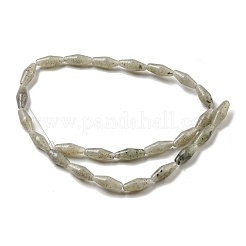 天然石ラブラドライトビーズ連売り  双円錐形  14~15x6mm  穴：1mm  約25~26個/連  14.57~15.16''（37~38.5センチメートル）&nbsp;G-A223-A04-01