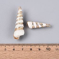 電気メッキ天然貝ペンダント  貝殻の形のチャーム  真鍮のループ付き  ゴールドカラー  貝殻色  27~42x8~13x8~13mm  穴：1.5~1.8mm&nbsp;BSHE-Q020-06