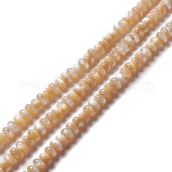 Natural Trochid Shell/Trochus Shell Beads Strands&nbsp;SSHEL-O001-24A-01