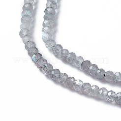 Natural Labradorite Beads Strands&nbsp;G-F596-07