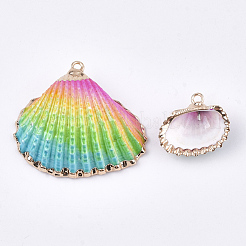 スプレー式塗料＆貝殻ペンダント  鉄パーツ  ライトゴールド  カラフル  19~28x20~30x7~11mm  穴：2mm&nbsp;X-SSHEL-S262-07C