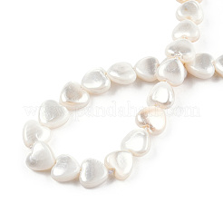 Natural Freshwater Shell Beads Strands&nbsp;SHEL-N026-220A