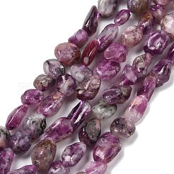 Natural Lepidolite/Purple Mica Stone Beads Strands&nbsp;G-S383-01