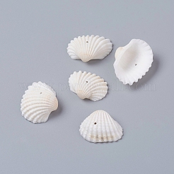 天然淡水シェルビーズ  シェル形状  貝殻色  18~24x22~32x8~10mm  穴：1.2mm  約230個/500g&nbsp;BSHE-D019-02