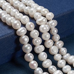 Natural Cultured Freshwater Pearl Beads Strands&nbsp;PEAR-N013-06G