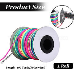 1 Roll Segment Dyed Nylon Satin Rattail Cords&nbsp;NWIR-PA0001-03
