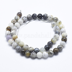 Natural White African Opal Beads Strands&nbsp;G-E472-02-10mm