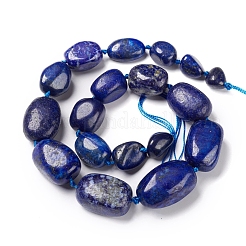 Natural Lapis Lazuli Beads Strands&nbsp;G-I194-27