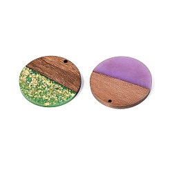不透明樹脂とクルミ材のペンダント  フラットラウンドのチャーム  キラキラパウダー＆金箔付き  ミックスカラー  38x3~4mm  穴：2mm&nbsp;RESI-T060-12A