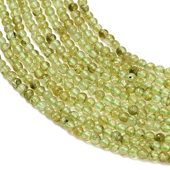天然石ペリドットビーズ連売り  スムーズなラウンド  2mm  穴：0.5mm  約176~179個/連  15~15.47''（38.1~39.3センチメートル）&nbsp;G-A322-A07-2mm