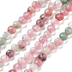 Natural Red & Green Strawberry Quartz Beads Strands&nbsp;G-C179-A28-01