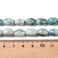 Natural Agate Beads Strands&nbsp;G-T138-180J