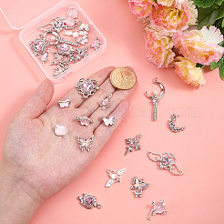Alloy Resin & Glass Pendants & Connector Charm Findings Kits&nbsp;DIY-PH0034-79