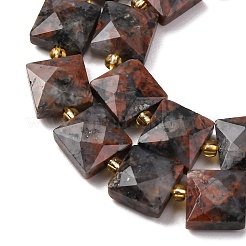 Natural Red Labradorite Beads Strands&nbsp;G-F839-A04-01