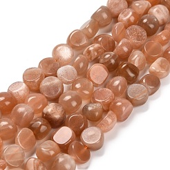 Natural Sunstone Beads Strands&nbsp;G-P568-C19-01