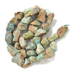 Raw Rough Natural HuBei Turquoise Beads Strands&nbsp;G-M453-D09