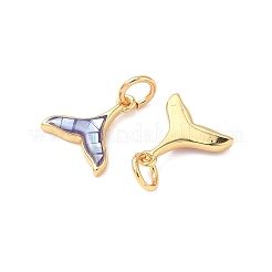 ラックメッキ真鍮＆シェルチャーム  魚尾  エナメル  長持ちメッキ  カドミウムフリー＆鉛フリー  丸カン付き  18KGP本金メッキ  11.5x10.5x2.5mm  穴：3.4mm&nbsp;KK-I357-11G