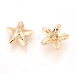 Brass Caps&nbsp;LS-X-KK-T016-24G