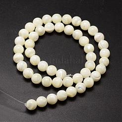 天然石シーシェルビーズ連売り  ラウンド  乳白色  8mm  穴：1.2mm  約51個/連  15.75インチ&nbsp;SSHEL-K013-8mm-A