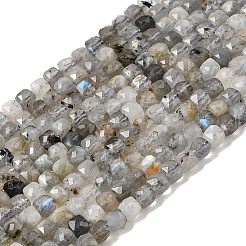 Natural Labradorite Beads Strands&nbsp;G-D358-A01