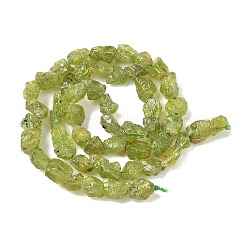 未加工の天然ペリドットビーズ連売り  ナゲット  6~24x7~16x4~10mm  穴：1mm  約25~38個/連  15.35~15.94''（39~40.5センチメートル）&nbsp;G-M453-D12