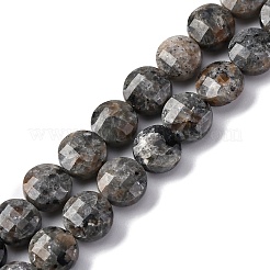 Natural Fluorescent Syenite Rock(Glow under UV Light) Beads Strands&nbsp;G-C179-A39-03
