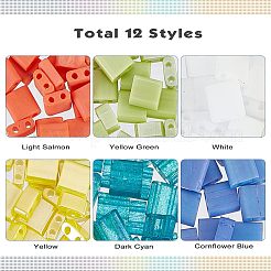 540cs 12 Style 2-Hole Glass Seed Beads&nbsp;SEED-NB0001-44