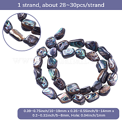 天然アワビ貝/パウア貝ビーズ1連  ナゲット  10~19x9~14x5~8mm  穴：1mm  約28~30個/連  15.7~15.9インチ（40~40.5cm）&nbsp;SSHEL-PA0001-03