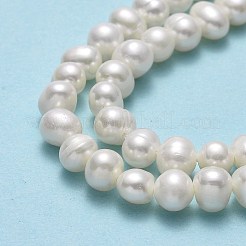 天然養殖淡水パールビーズ連売り  ポテト  ベージュ  4~5.5x5~6.5x4.5~5mm  穴：0.7mm  約70~72個/連  13.66~13.94インチ（34.7~35.4cm）&nbsp;PEAR-F018-14-01