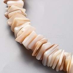 天然淡水シェルビーズ連売り  正方形  貝殻色  11~16.5x10~13x1~7mm  穴：1.2mm  約190個/連  14.96インチ（38cm）&nbsp;SHEL-C001-10A