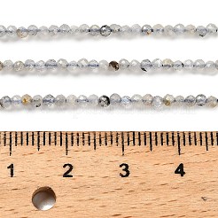 Natural Labradorite Beads Strands&nbsp;G-RM2025-10-2mm