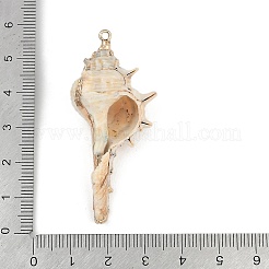 天然石シェルペンダント  貝殻の形のチャーム  53~69x24~39x20~29mm  穴：1.5mm&nbsp;SHEL-K009-01E