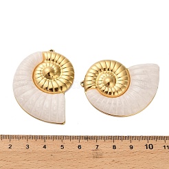 304ステンレススチールアクリルパーツ  巻き貝  イオンプレーティング（ip）  18KGP本金メッキ  48x35x6mm  穴：1.4mm&nbsp;X-STAS-C152-27A-G