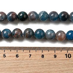 天然石アパタイトビーズ連売り  ラウンド  ブルー  8~8.8mm  穴：1mm  約45個/連  14.76''（37.5センチメートル）&nbsp;G-D340-A02-8mm