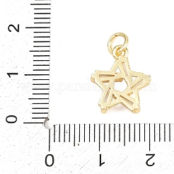 Brass Micro Pave Clear Cubic Zirconia Charms&nbsp;KK-F938-14G