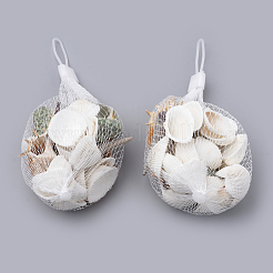 Natural Ark Shell Beads&nbsp;SSHEL-S258-14