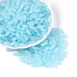 Opaque Colours Glass Seed Beads&nbsp;SEED-T007-16E
