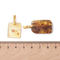 天然琥珀のペンダント  真鍮のベイルが付いた長方形のチャーム  ゴールデンロッド  ゴールドカラー  19~26x16~16.5x3.5~5.5mm  穴：4.5x3.5mm&nbsp;PALLOY-JF05261-01