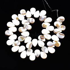 Natural Freshwater Shell Beads Strands&nbsp;SHEL-Q024-008