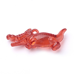 Transparent Acrylic Big Pendants&nbsp;TACR-T002-05