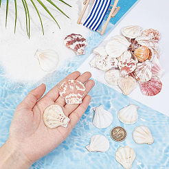 40Pcs Natural Scallop Shell Beads&nbsp;SSHEL-SP0001-02