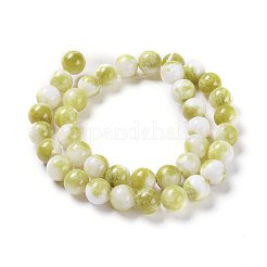 Natural Persian Jade Beads Strands&nbsp;G-D434-8mm-29